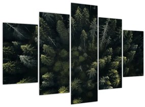 Obraz - Les (150x105 cm)