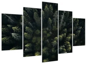 Obraz - Les (150x105 cm)