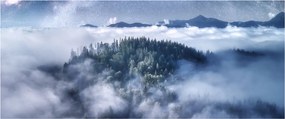 Obraz lesa v hmle (120x50 cm)