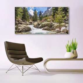 Obraz plexi Hora les kamene rieka 120x60 cm