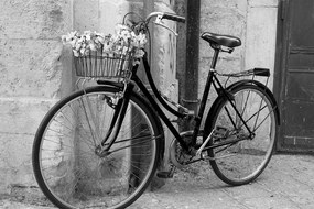 Obraz rustikálny bicykel v čiernobielom prevedení Varianta: 120x80