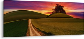 Obraz poľa pri západe slnka (120x50 cm)