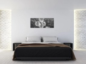 Obraz - Cottongrass (120x50 cm)