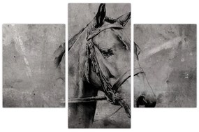 Obraz - Portrét koňa (90x60 cm)