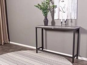 Rise konzolový stolík čierna/sivá 110x30