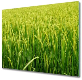 Sklenená doska na krájanie Pole ryža 60x52 cm
