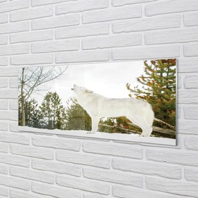 Obraz na akrylátovom skle Vlk v zime lese 120x60 cm