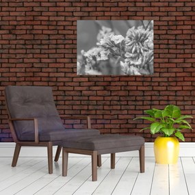 Sklenený obraz - Sušené kvety (70x50 cm)