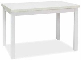 Jedálenský stôl Adam 120 x 68 cm, biela