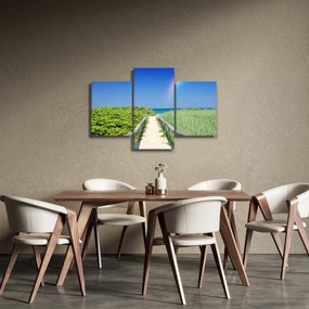 Obraz - Krajina a dúha (90x60 cm)