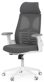 Autronic BONTEC Kancelárska stolička, hojdací mechanizmus, čierna sieťovina, KA-S247 BK Farba: Biela