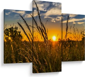 Obraz pole pri západe slnka (90x60 cm)