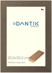 DANTIK rám na obraz 20x30 | ATHINA hnědá (Sklo Čiré)