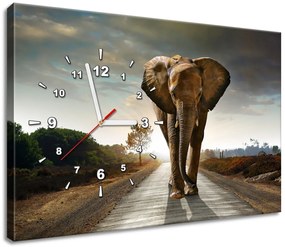 Gario Obraz s hodinami Osamelý silný slon Rozmery: 40 x 40 cm