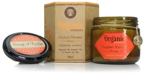Song of India Organic Goodness - Nagpuri Narangi Orange