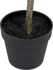 Umelý eukalyptus (výška 180 cm) Eucalyptus – Ixia