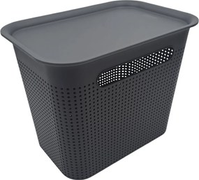 Rotho Úložný box s vekom a s držadlami BRISEN 7l, 26x18x21cm, čierny