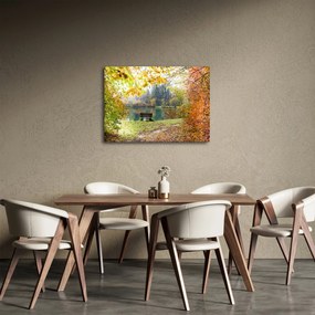 Obraz rybníka (70x50 cm)