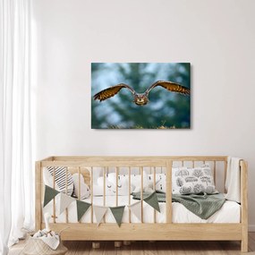 Obraz - Sova pri lete (90x60 cm)