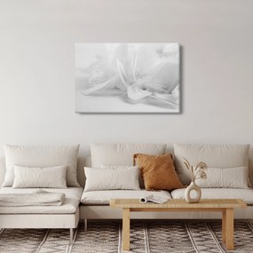 Obraz - Perie (90x60 cm)