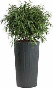 PLASTOVÝ KVETINÁČ URBANIKA ECO 75X41 CM ANTRACITOVÁ