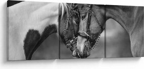 Obraz - Zamilované kone, čiernobiela (s hodinami) (90x30 cm)