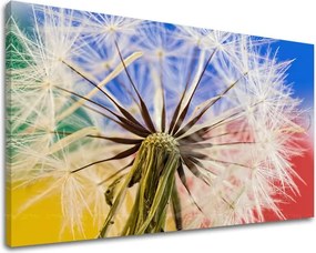 Obraz na stenu KVETY KV084E11 - 60x90 cm