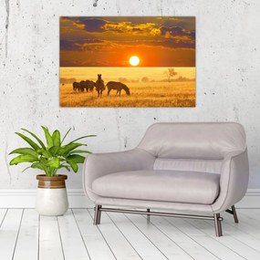 Obraz - Zebry so západom slnka (90x60 cm)