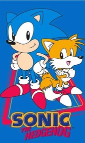 Detský uteráčik Ježko Sonic a Tails 30x50 cm