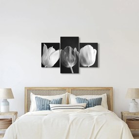 Obraz - Čiernobiele kvety tulipánov (90x60 cm)