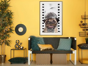 Artgeist Plagát - Pug In Hat [Poster] Veľkosť: 20x30, Verzia: Zlatý rám