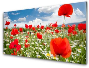 Obraz plexi Lúka kvety príroda 120x60 cm