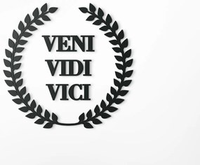 drevko Drevený nápis Veni vidi vici Rozmer obrazu: 44,5 x 46 cm, Farba dekorácie: Čierna
