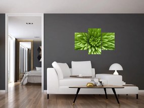 Obraz - Makro snímka rastliny (90x60 cm)