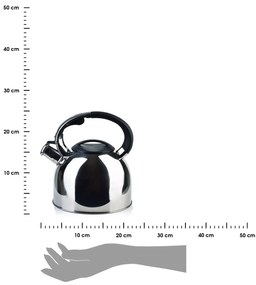 Kovová čajová kanvica Sten Silver 2,5l