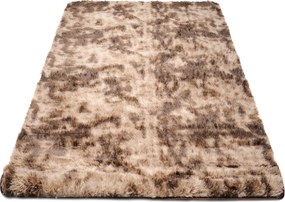TA Koberec MR-580 Brown SILK DYED Hnedý Obdĺžnikový Rozmer: 120x170 cm