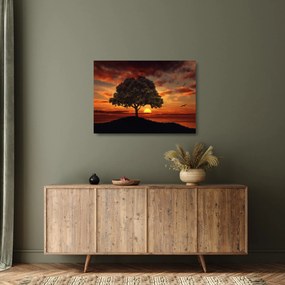 Sklenený obraz stromu pri západe slnka (70x50 cm)