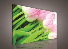 Obraz na stenu ružové tulipány 100 x 75 cm