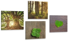 Set obrazov vánok prírody - 4x 60x60