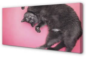 Obraz na plátne ležiace mačka 140x70 cm
