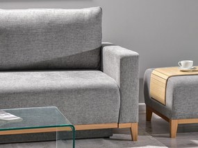 Pohovka dvojsedačka Salida (sivá + dub). Akcia -20%. Vlastná spoľahlivá doprava až k Vám domov. 1136947