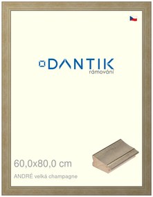DANTIK rám na obraz 60x80 | ANDRÉ velká champagne (Plexi Čiré)
