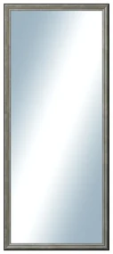 DANTIK - Zrkadlo v rámu, rozmer s rámom 60x140 cm z lišty Anversa strieborná (3152)