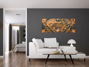 Obraz - Rieka v tvare srdca (120x50 cm)