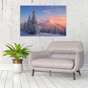 Obraz - Zimná krajina (90x60 cm)