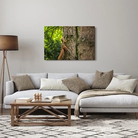 Obraz - Veverička (90x60 cm)