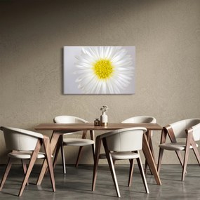 Obraz - Margarita (90x60 cm)