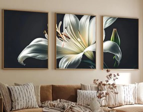 Huhu224 - 50 x 70
