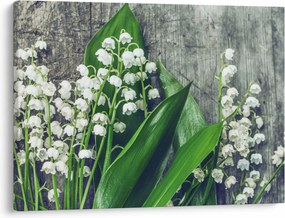 Obraz konvaliniek (70x50 cm)
