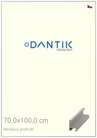 DANTIK rám na obraz 70x100 | ALU Stříbrná matná (Plexi Čiré)